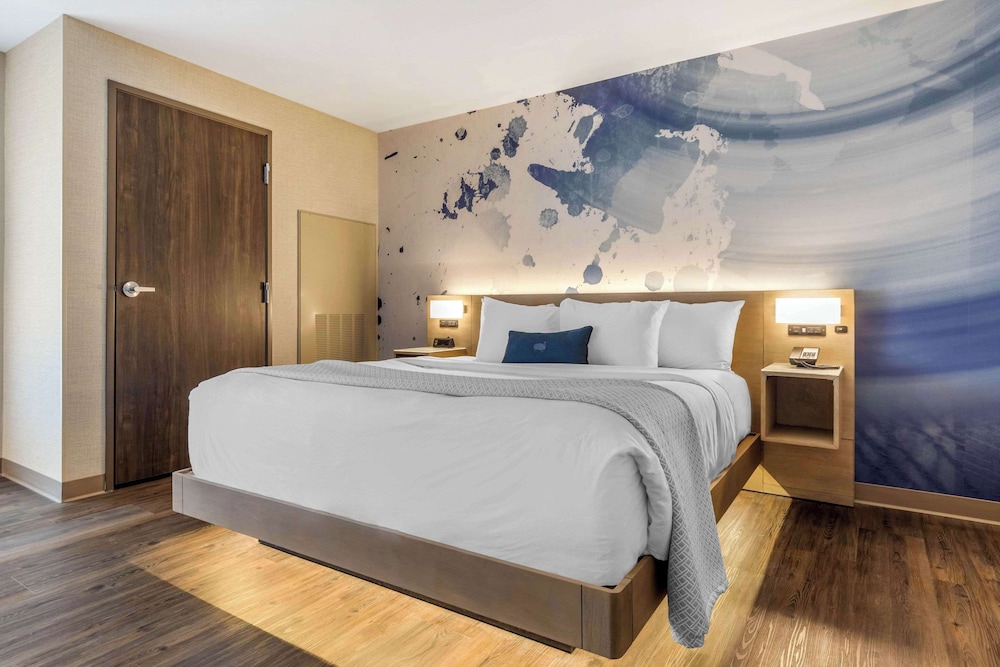 SUITE, KING BED