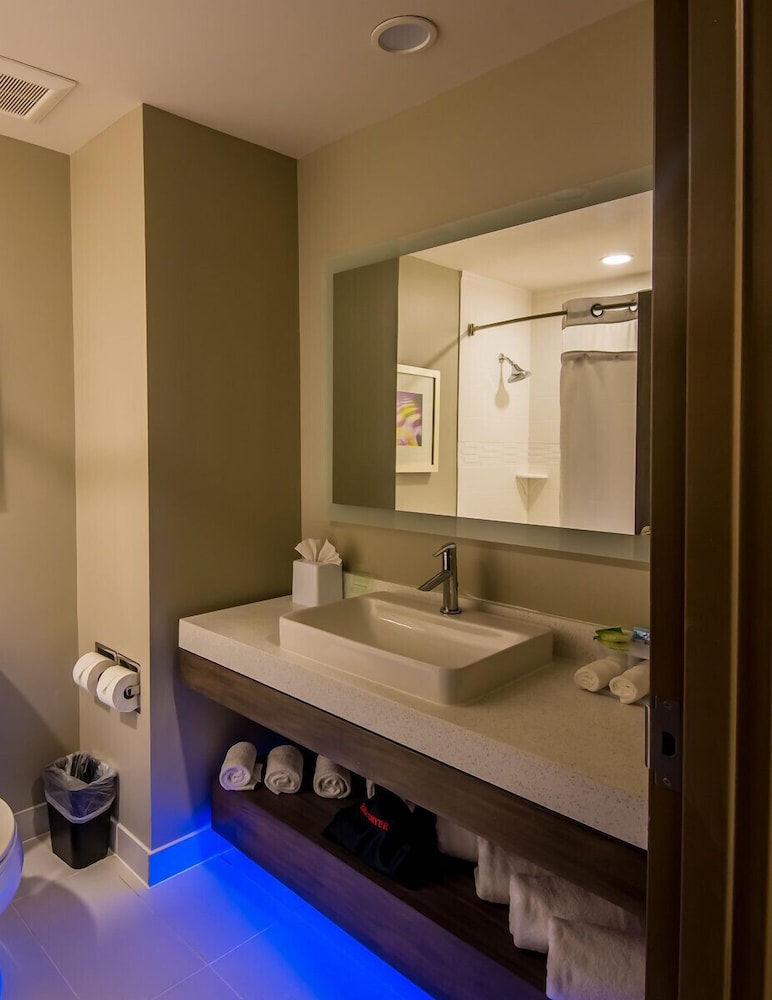 Holiday Inn Express Suites Garland E Lake Hubbard I30 16/38