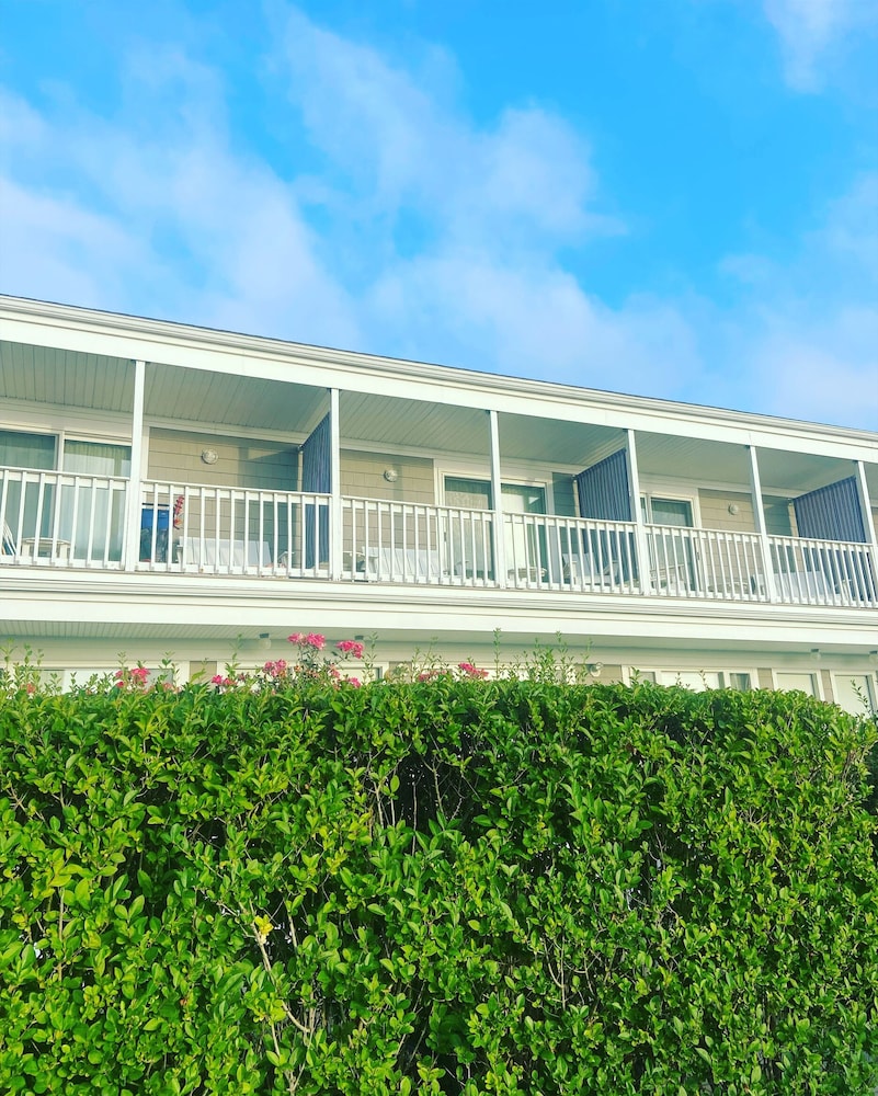 The Shore House 3/50