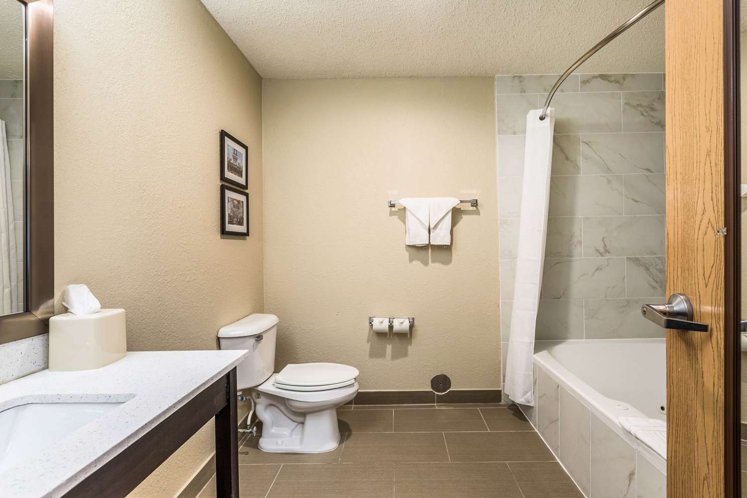 Room, King Bed, Comfort Inn Downtown Detroit MI 3/4