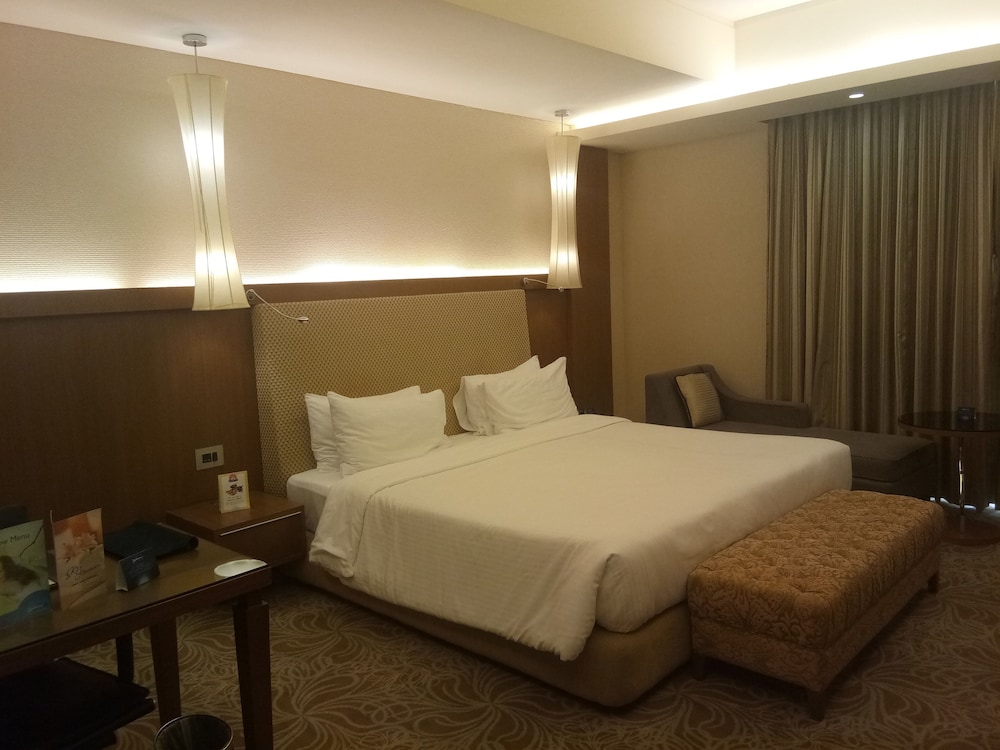 Radisson Blu Hotel Nagpur 18/70