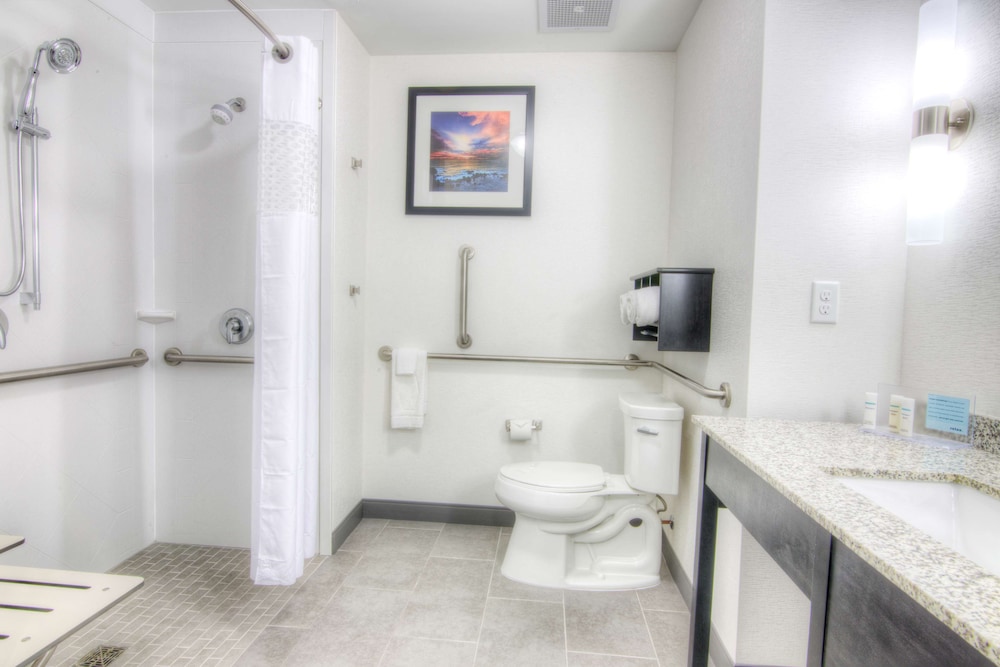 Hampton Inn Houston I-10 East 10/51
