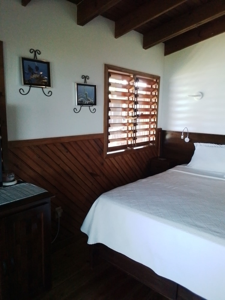 Palm, Premium, Studio, Suite, King Bed, Ocean View, Sofa