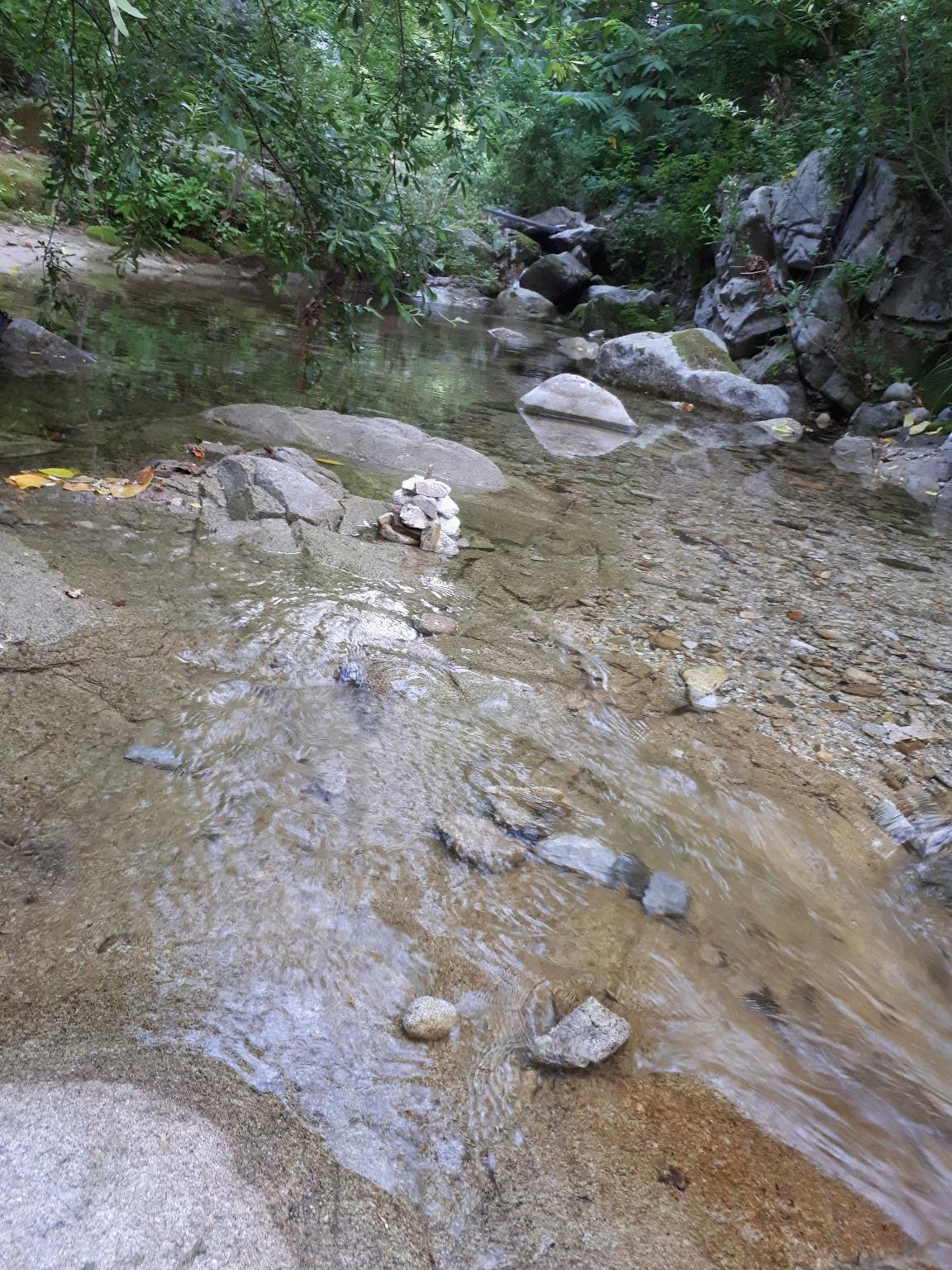Ravine House 10/15