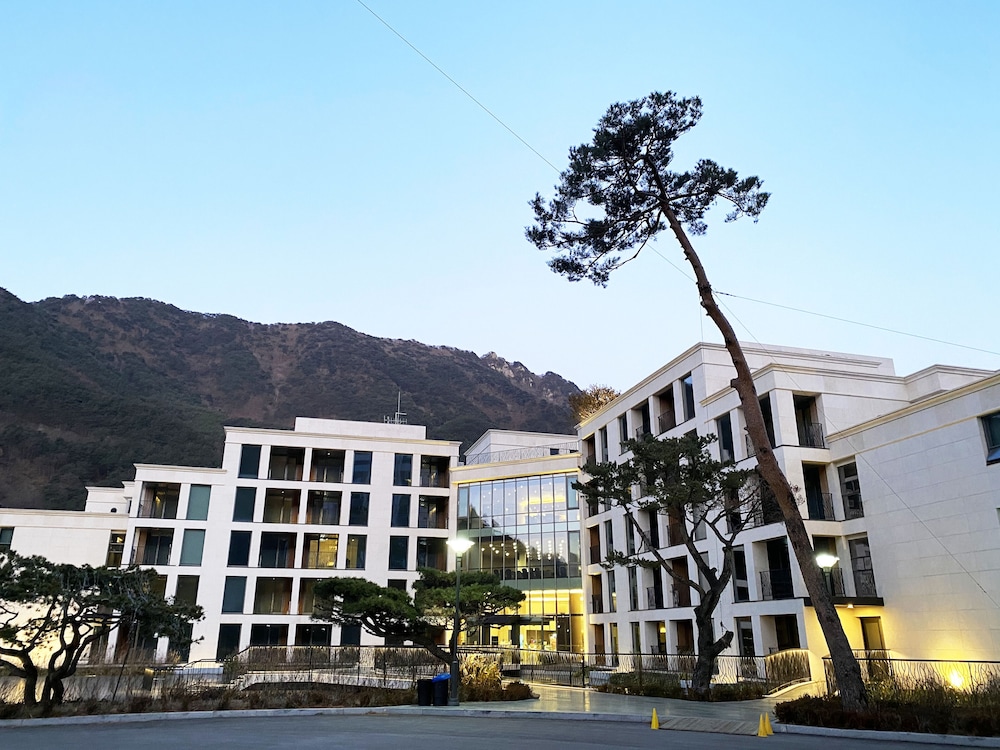 Pine Forest Jeongseon Alpine Resort 3/44