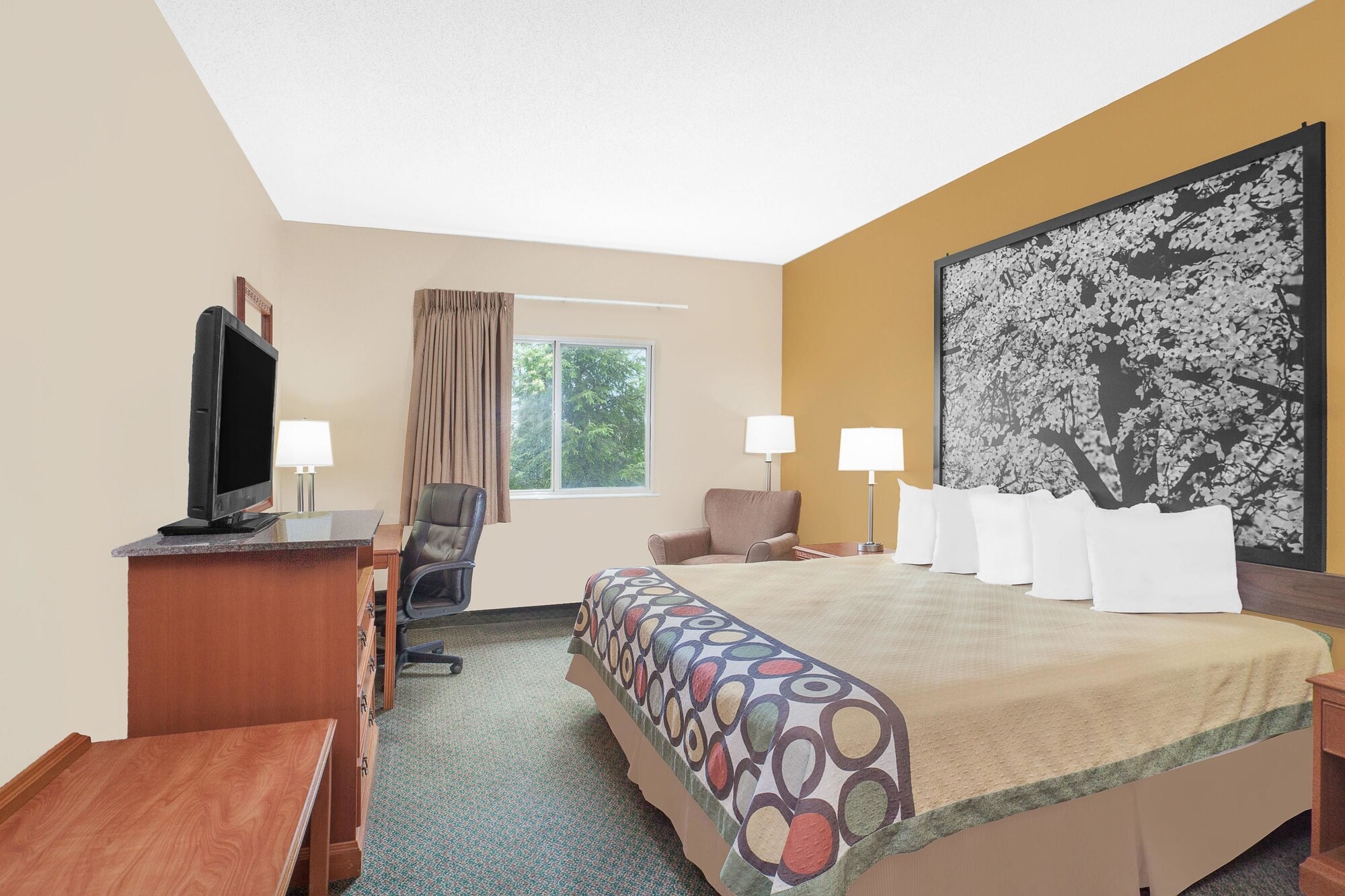Standard, King Bed, Accessible