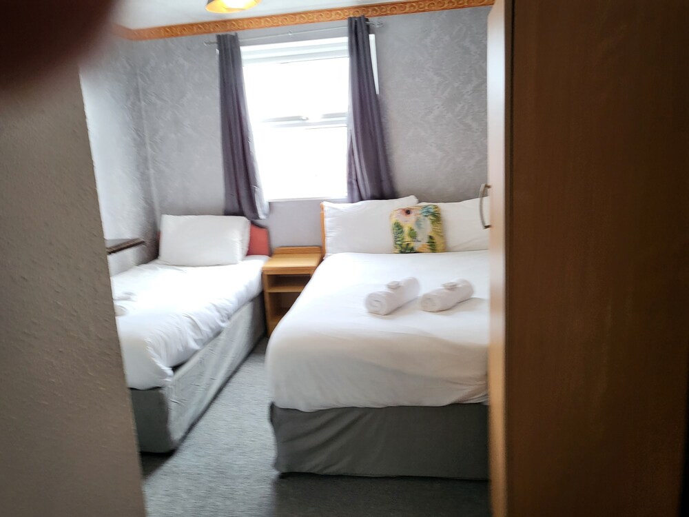 Tulip Hotel 24/51