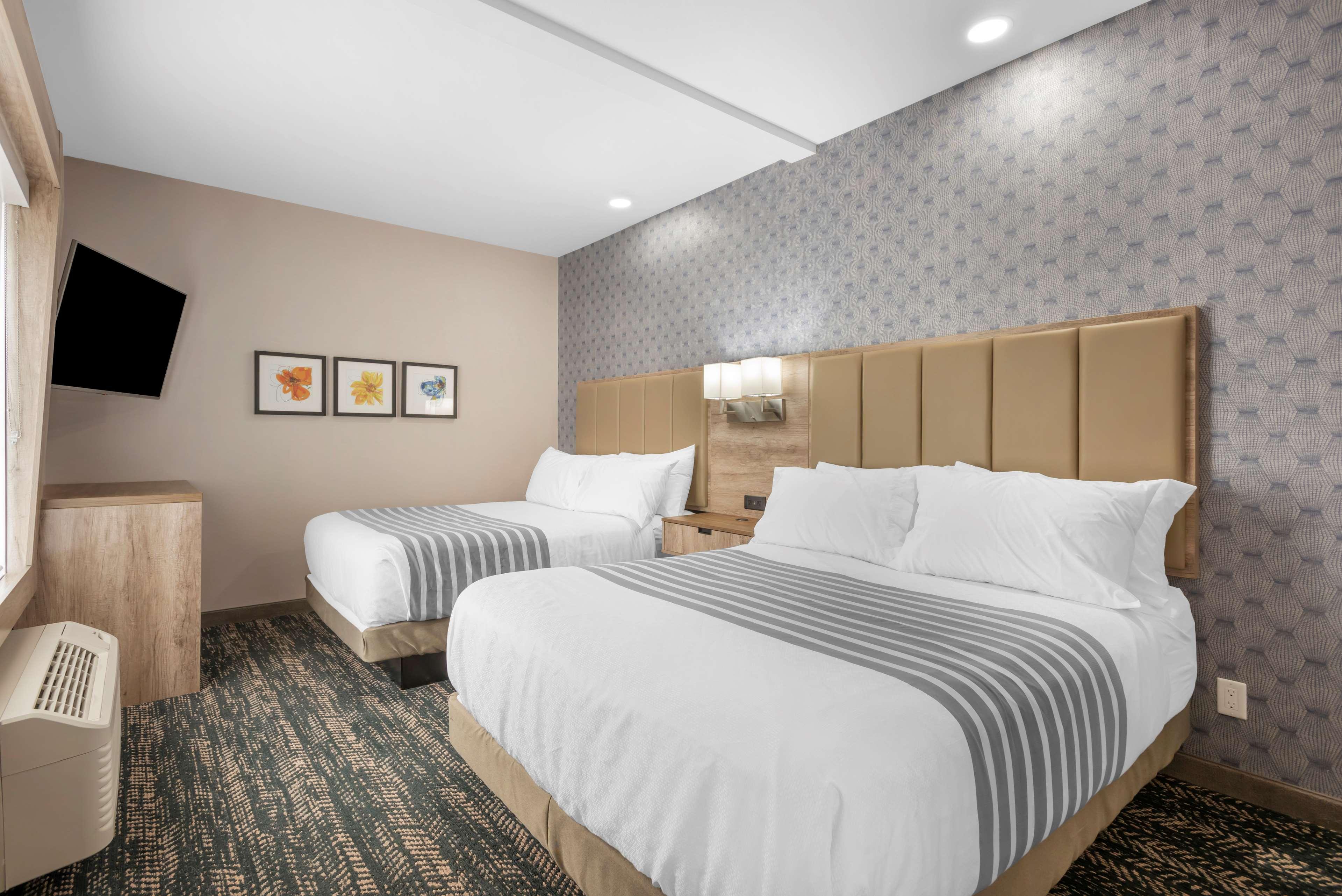 جناح بسريرين كوين، Best Western Premier Executive Residency Medicine Hat 5/9