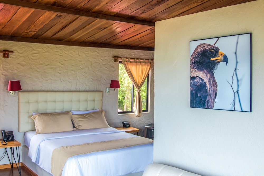 Red Mangrove Aventura Lodge 22/77