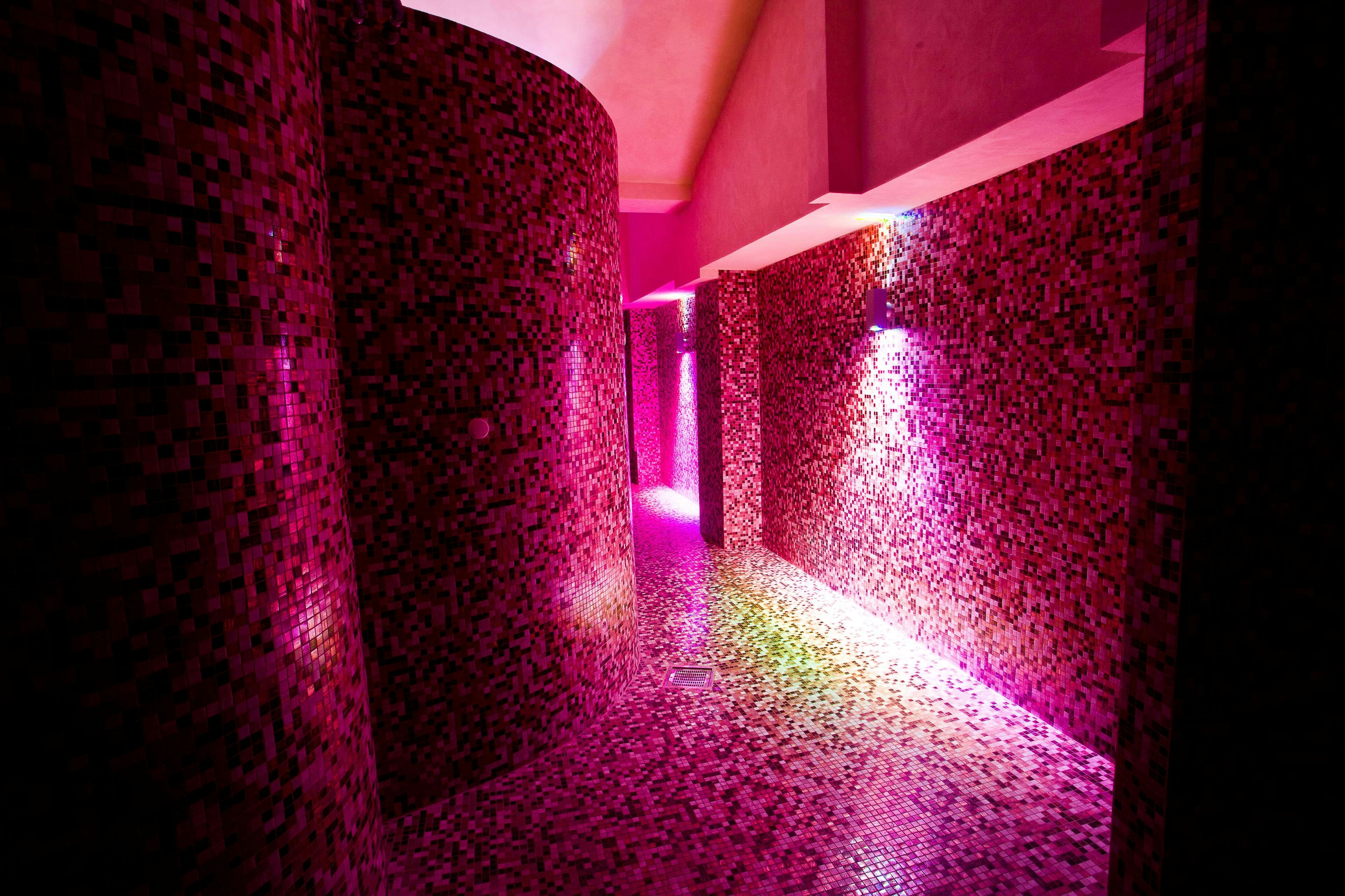 PALACE HOTEL SAN MICHELE 34/65