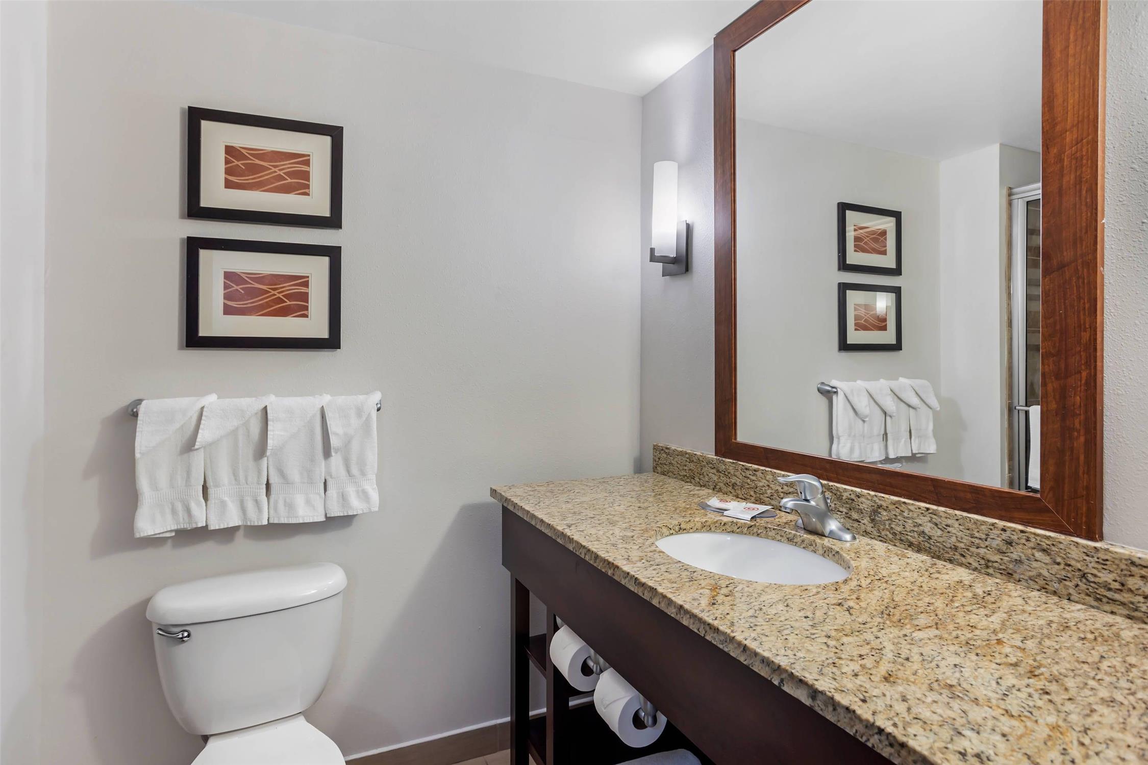 جناح بسريرين كوين، Comfort Inn & Suites Sayre, PA 7/7