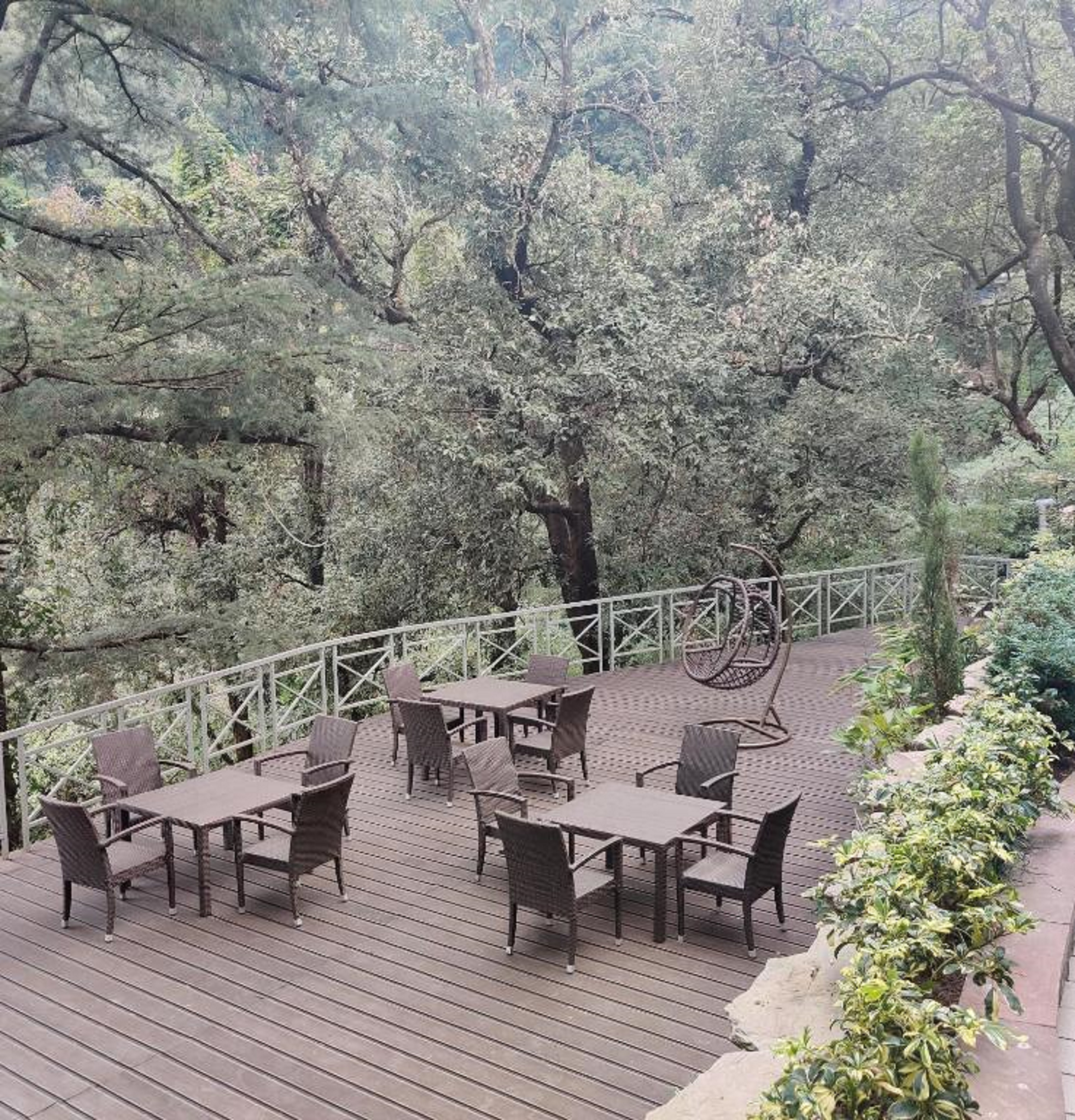 Yog Wellness Resort & Spa By Amritara 32/44