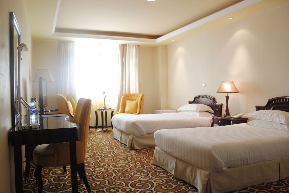 Bole Ambassador Hotel 15/50