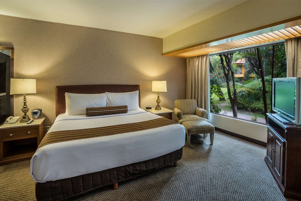 Deluxe, Suite, King Bed, Garden Area، Wyndham Garden Guadalajara Expo 4/6