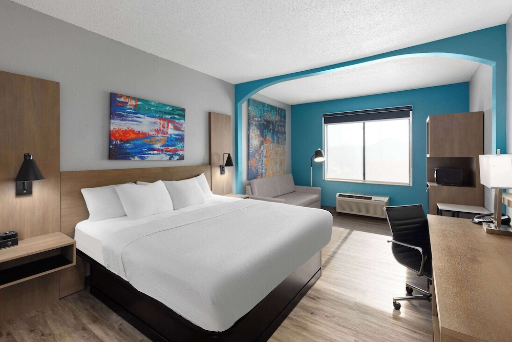 Room, King Bed