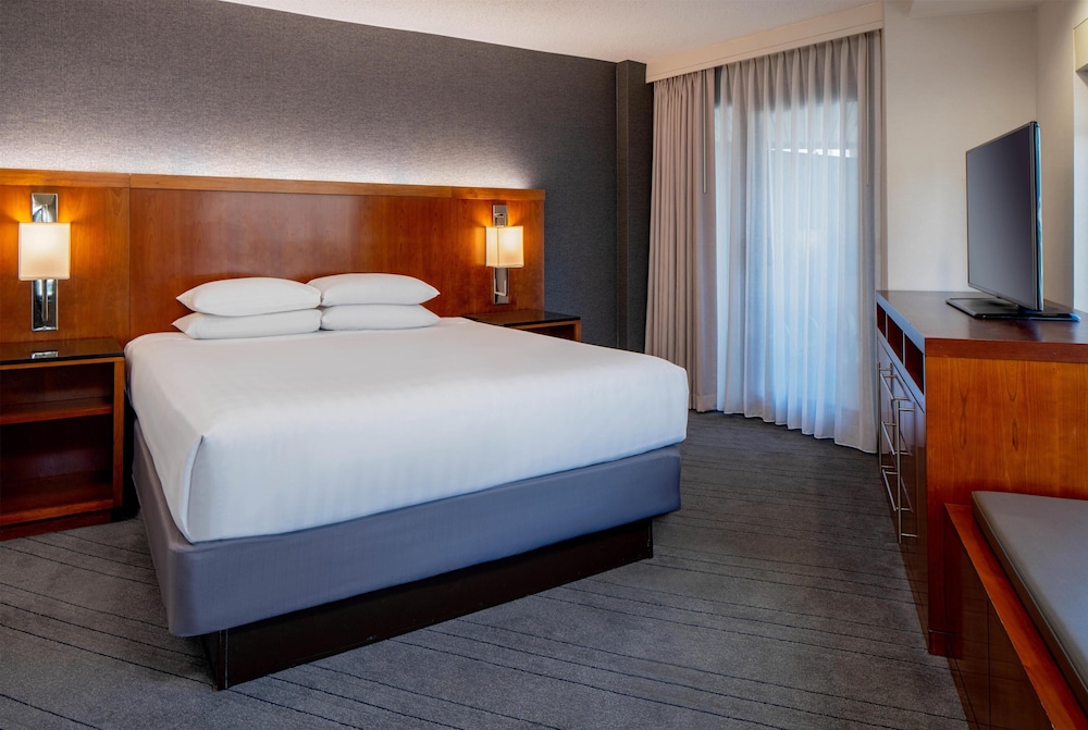 Ambassador, Suite, King Bed
