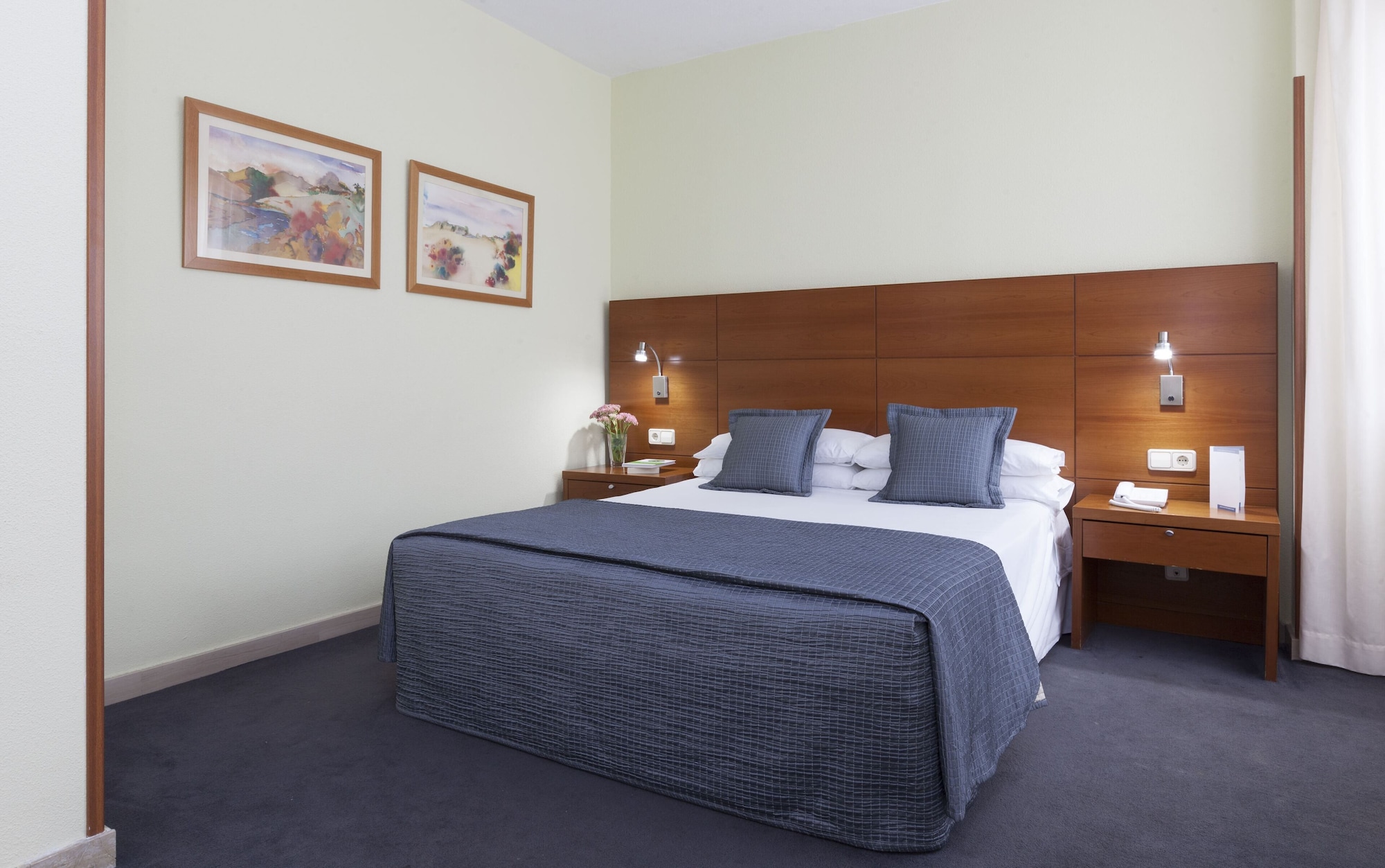 STANDARD, DOUBLE OR TWIN BED