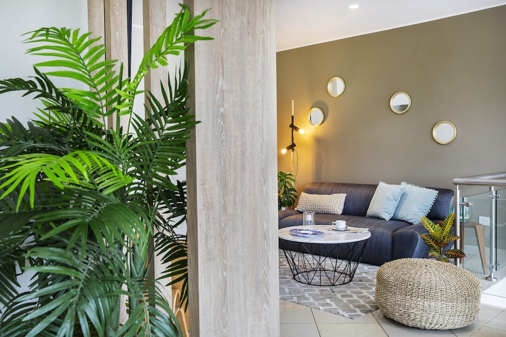 Palmetto La Perla 6/65