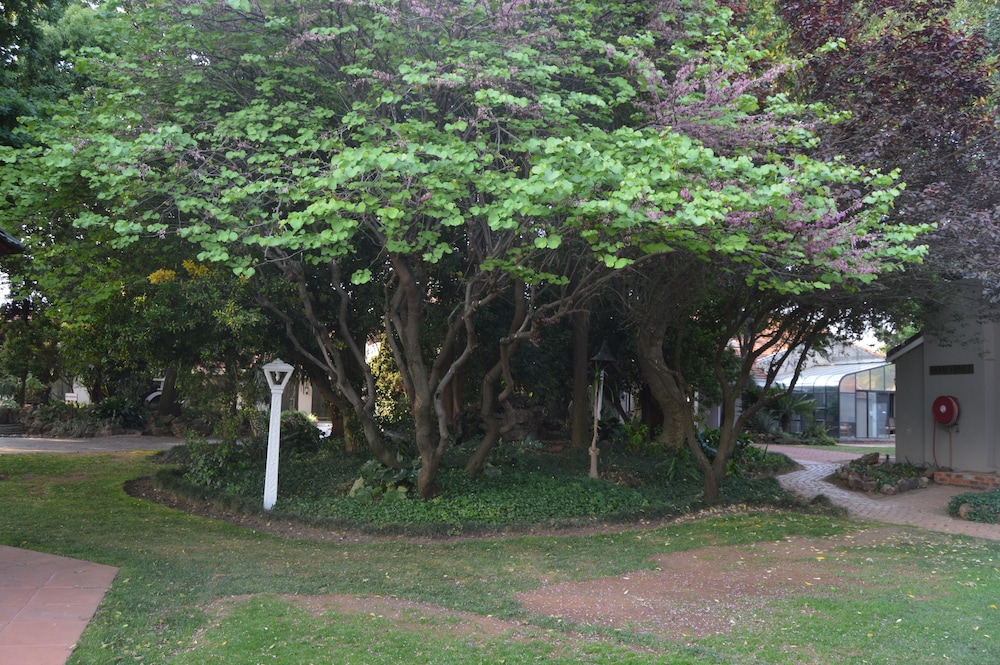 Airport Gardens Boutique Hotel 59/68