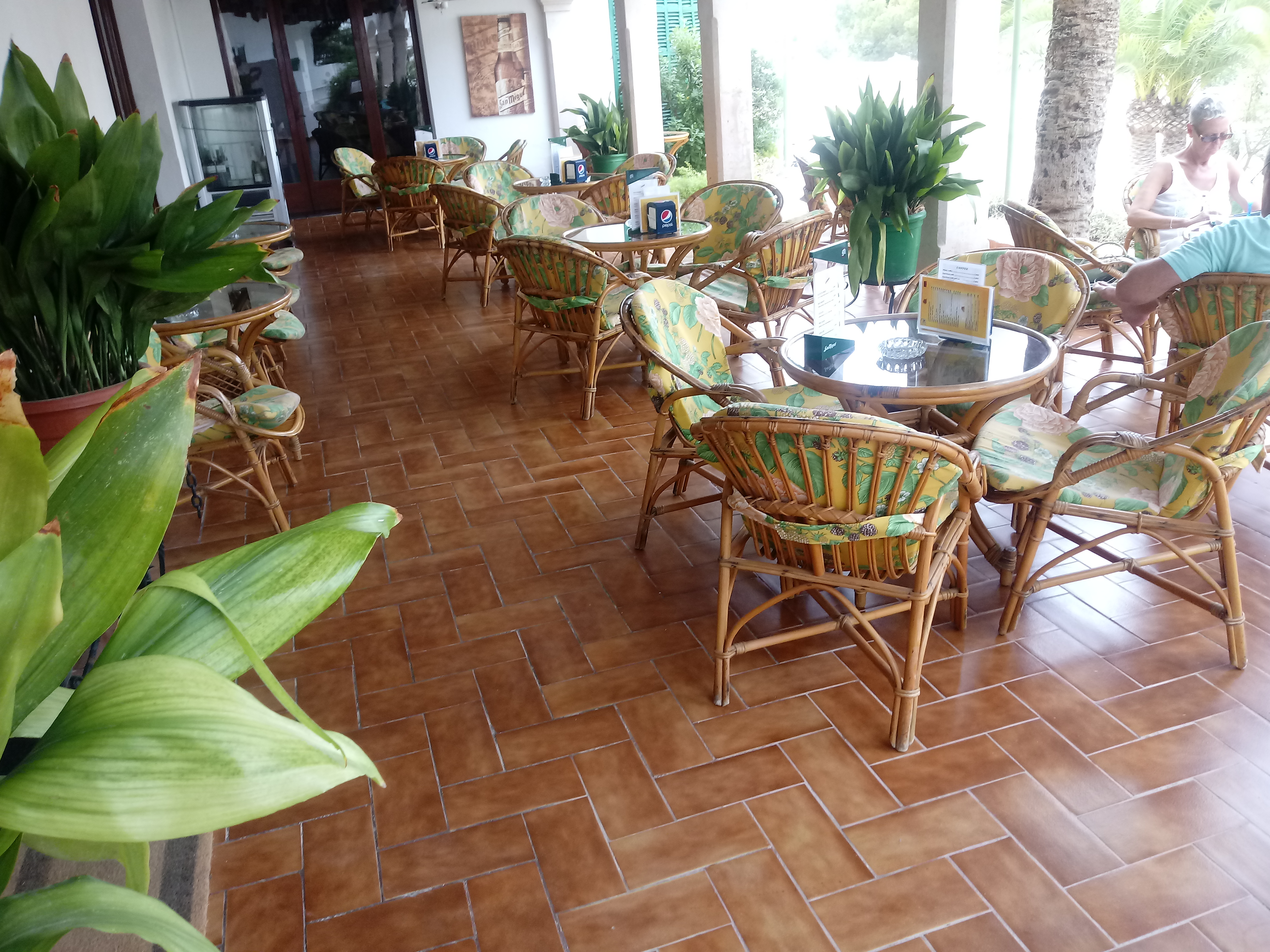 Oasis D'or 13/24