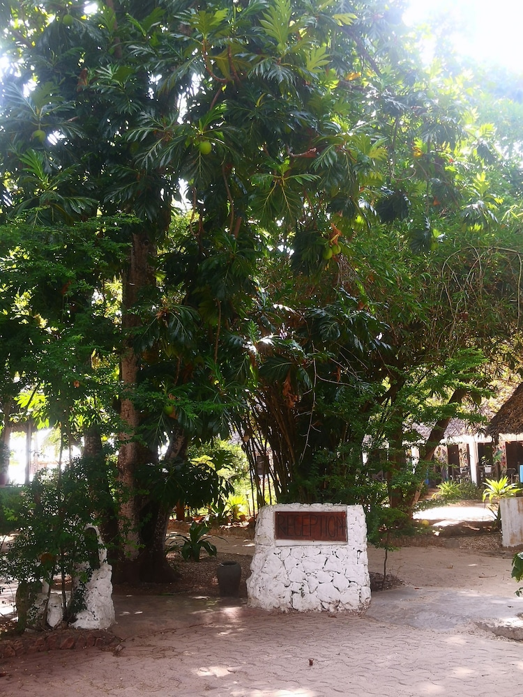 Mambo Ocean Resort 41/50