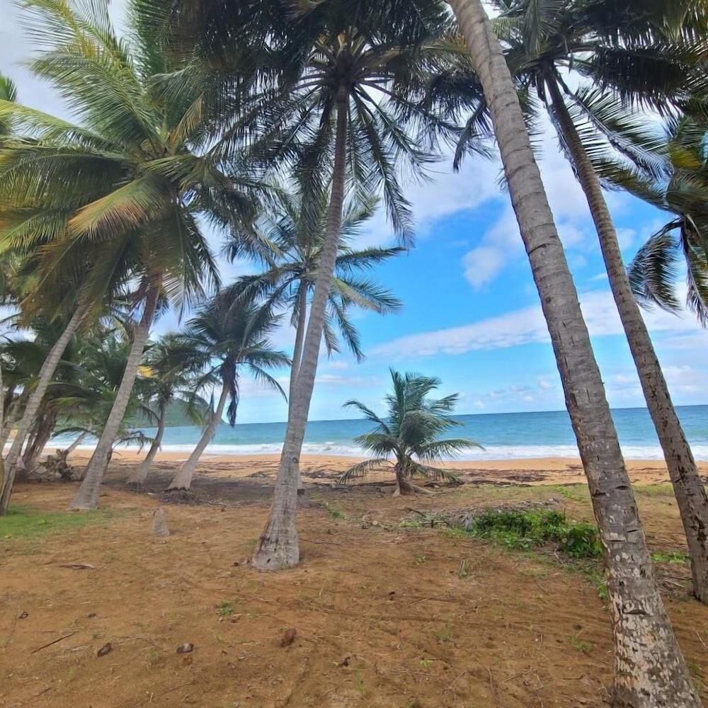 Parador MaunaCaribe 28/50