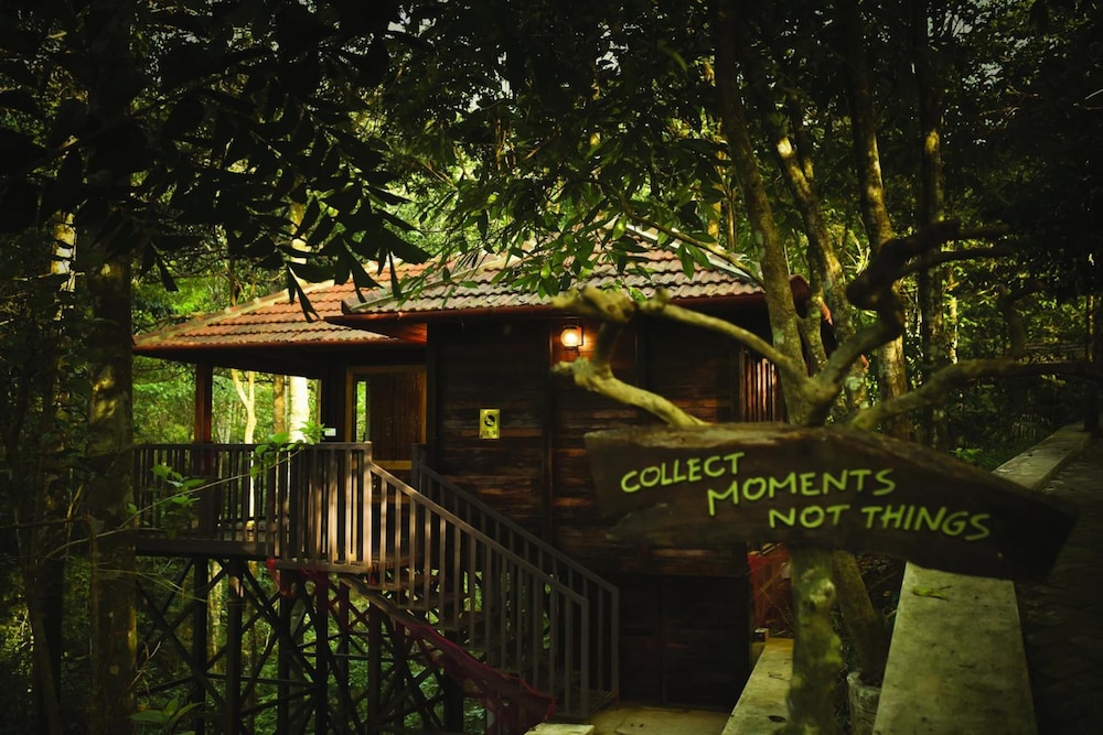 Wild Planet Jungle Resort 41/50