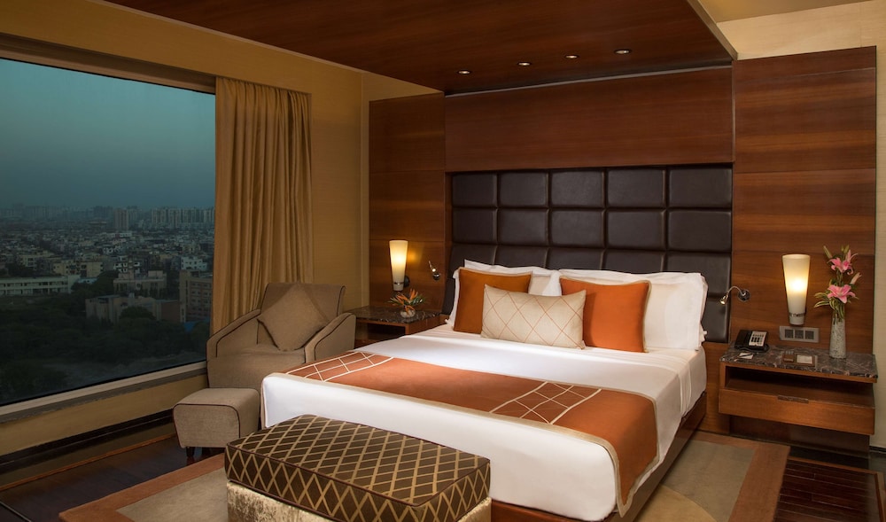 Radisson Blu Hotel Kaushambi Delhi Ncr 25/68