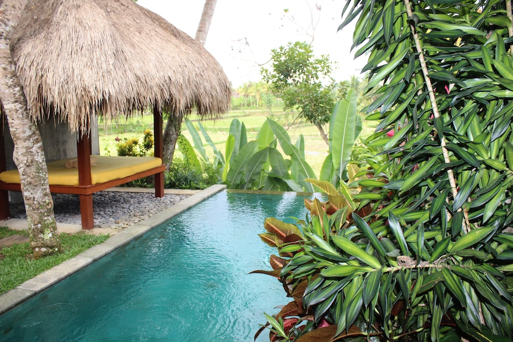 Ubud Padi Villas 3/60