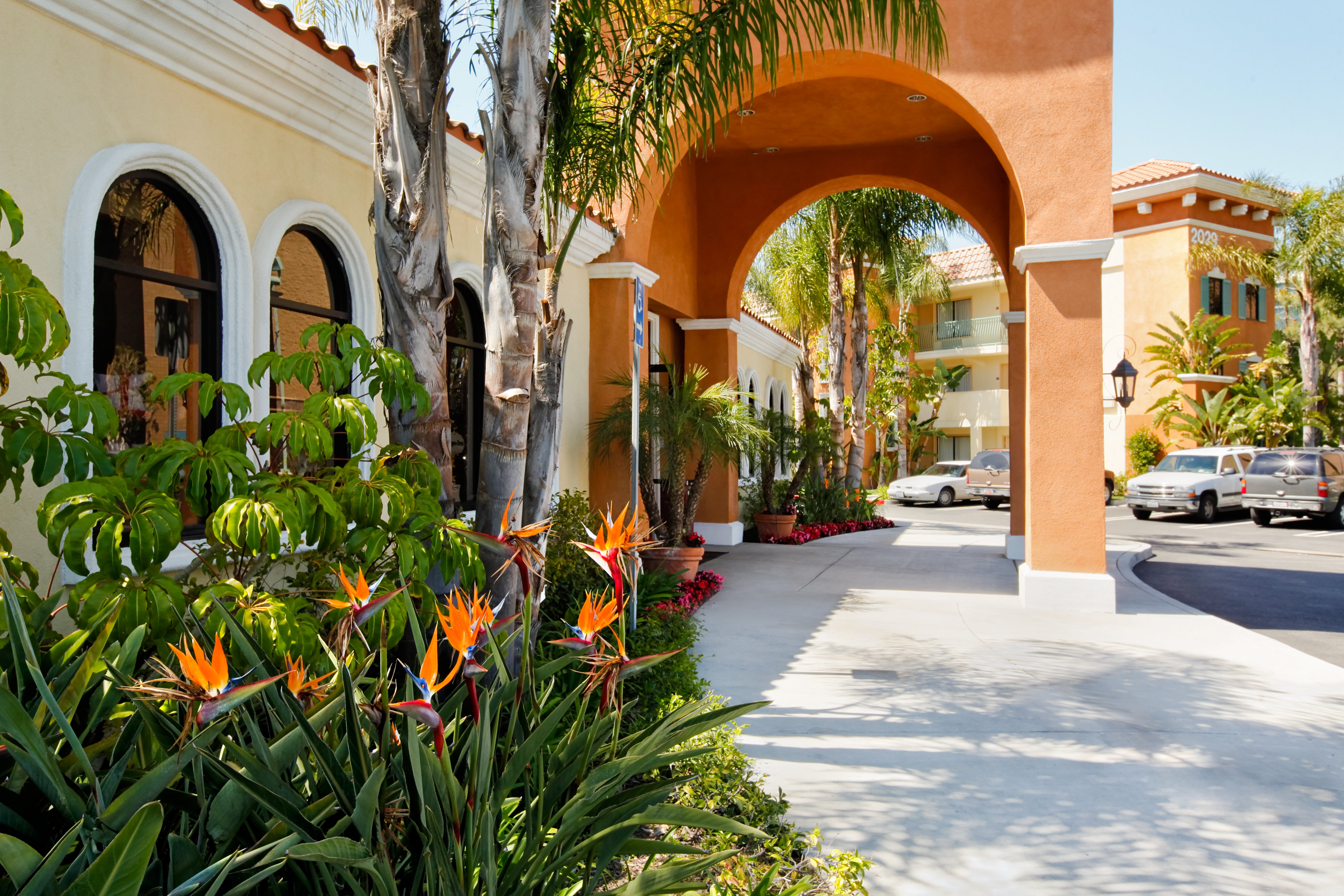 Cortona Inn And Suites 72/78
