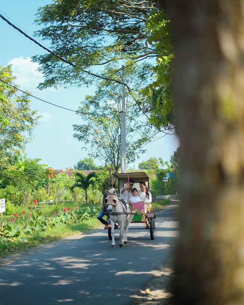 Abhayagiri - Sumberwatu Heritage Resort 34/55
