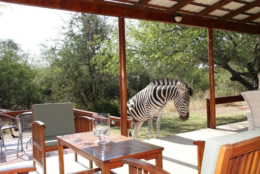 Turaco Lodge 28/47