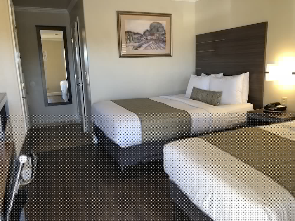 El Castell Motel 21/65