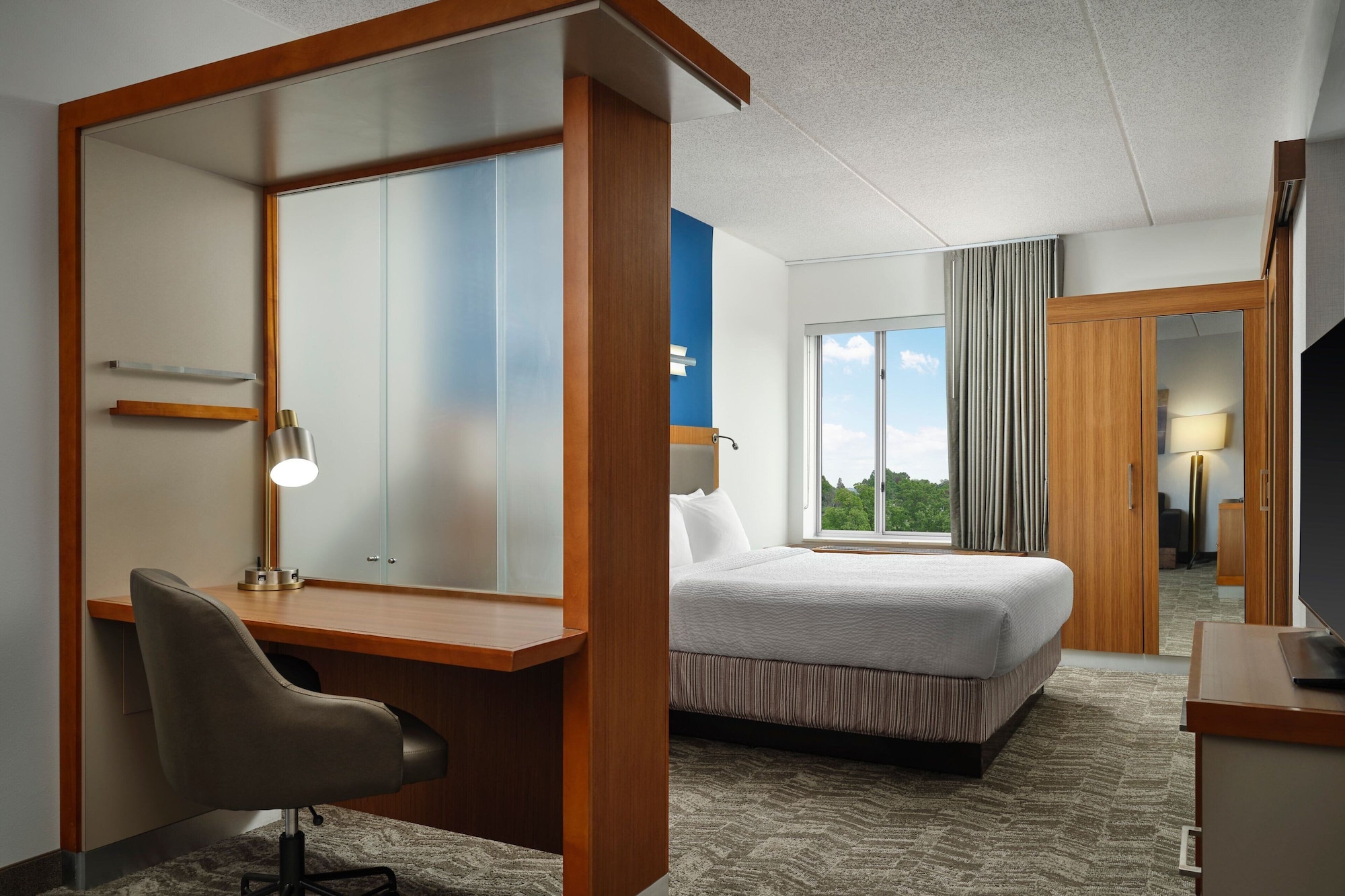 استوديو مع أريكة، Springhill Suites By Marriott Pittsburgh Mt Lebanon 5/5