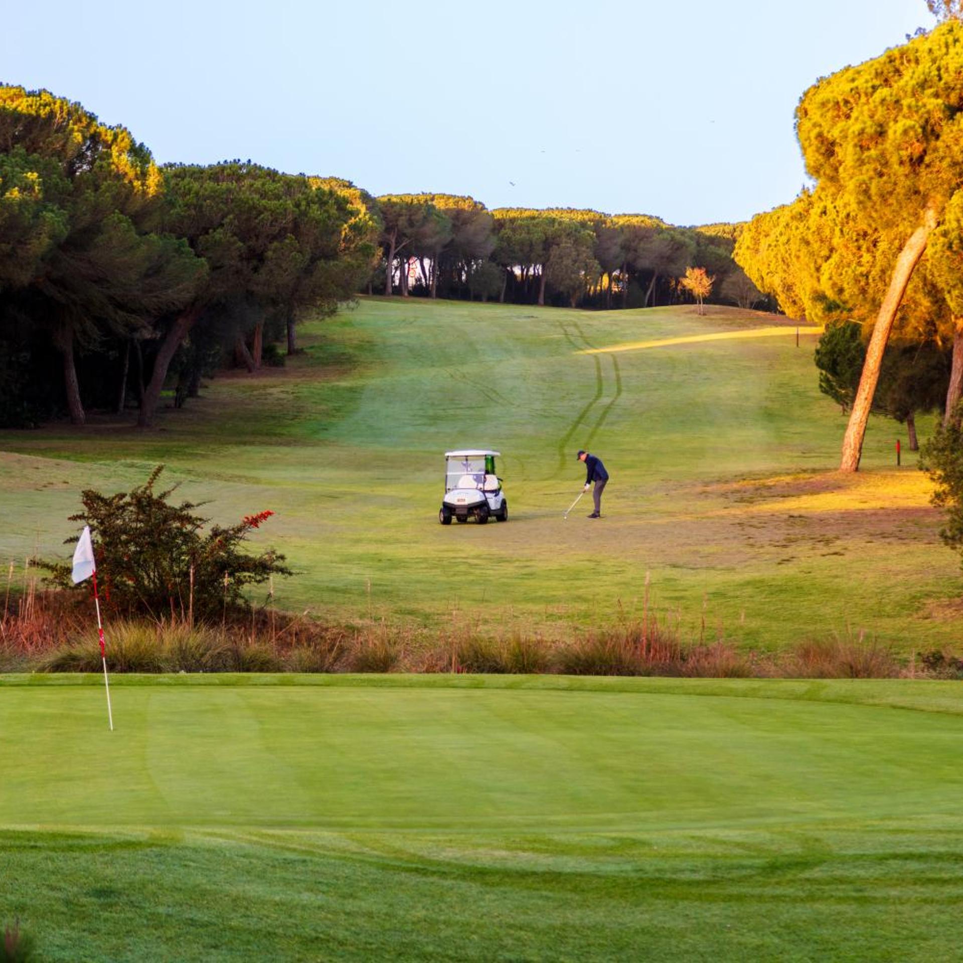 Nuevo Portil Golf 61/65