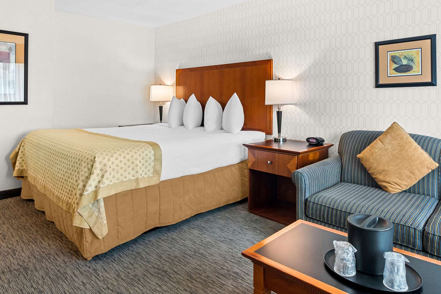 Room, King Bed, Sofa