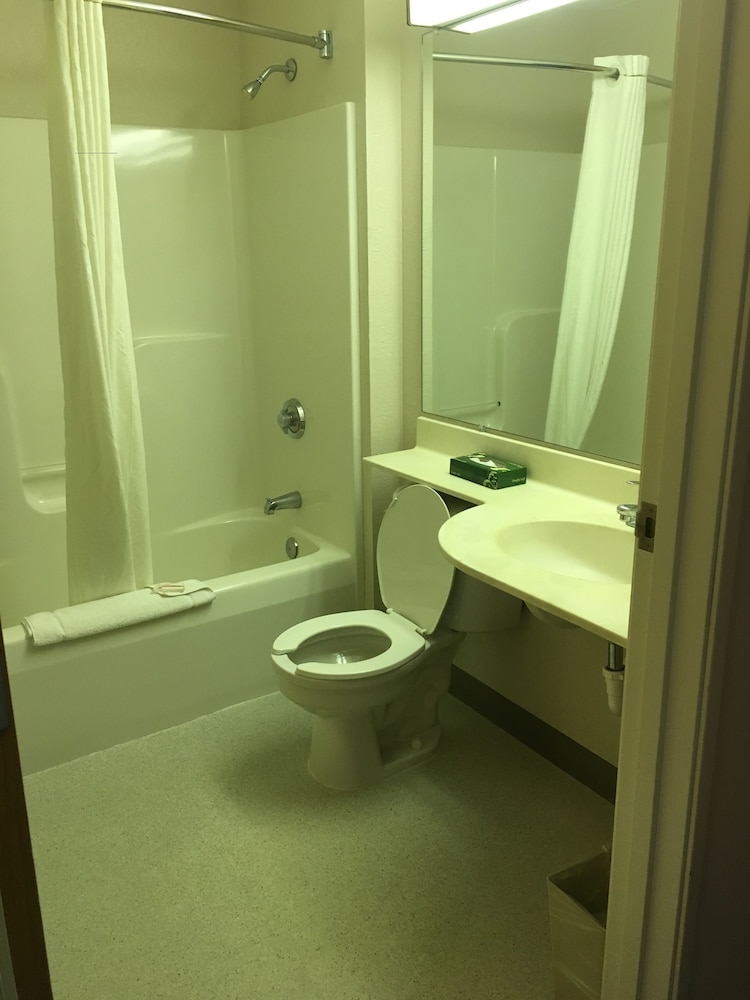 Microtel Inn Suites By Wyndham Champaign 13/68