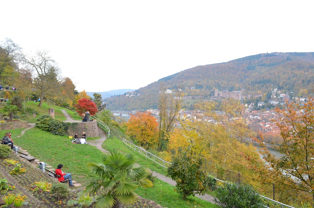 Neu Heidelberg Guesthouse Apartments 49/50