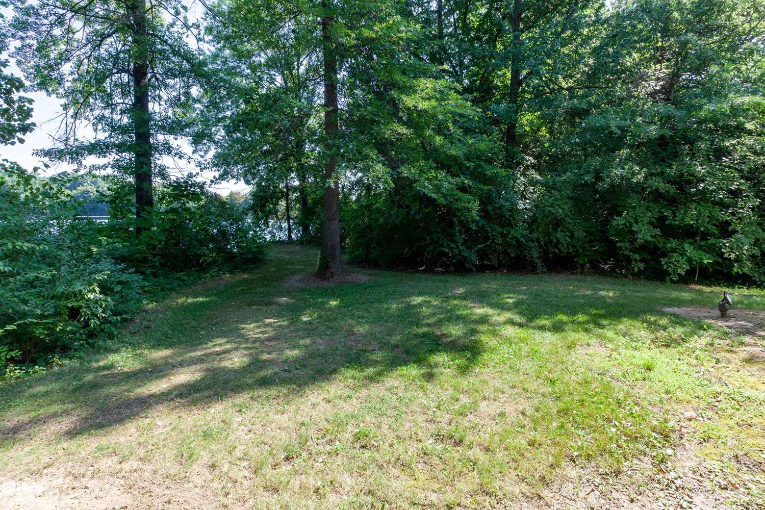 surroundings