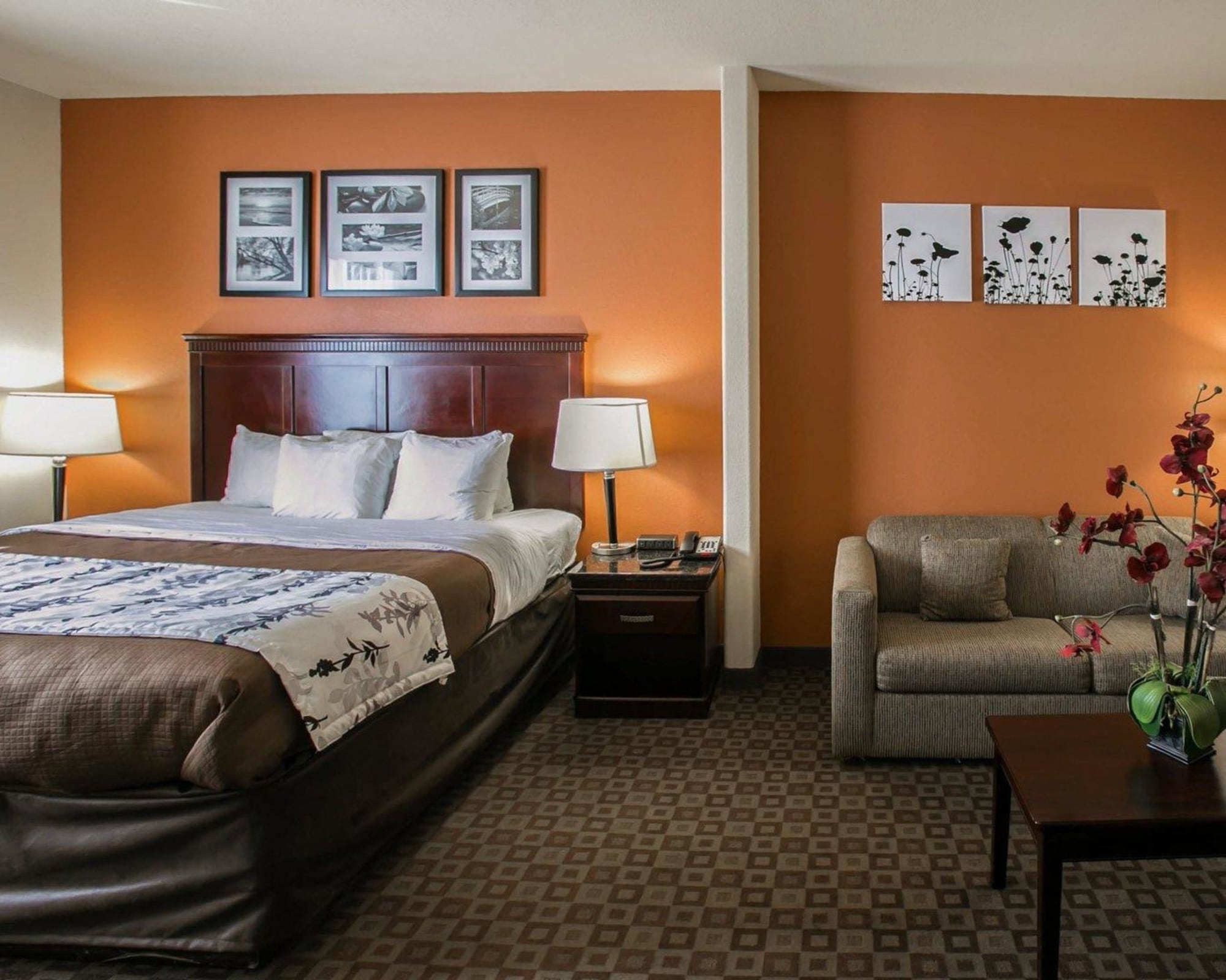 SUITE, KING BED