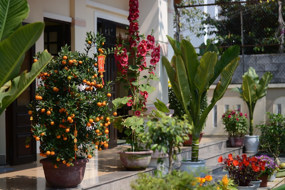 Han Thuyen Homestay 41/48