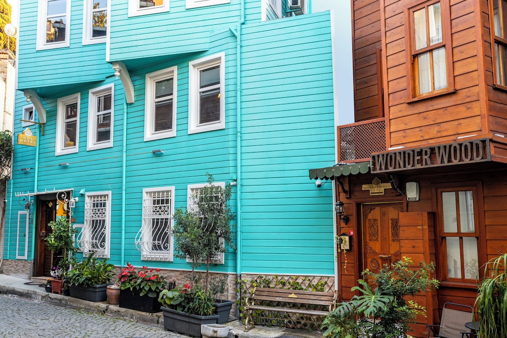 Wonder Wood Hotel 3/59