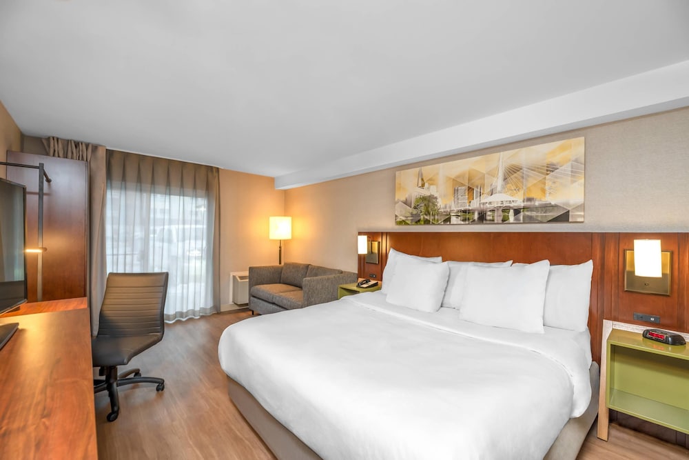 Room, King Bed, Sofa, Accessible