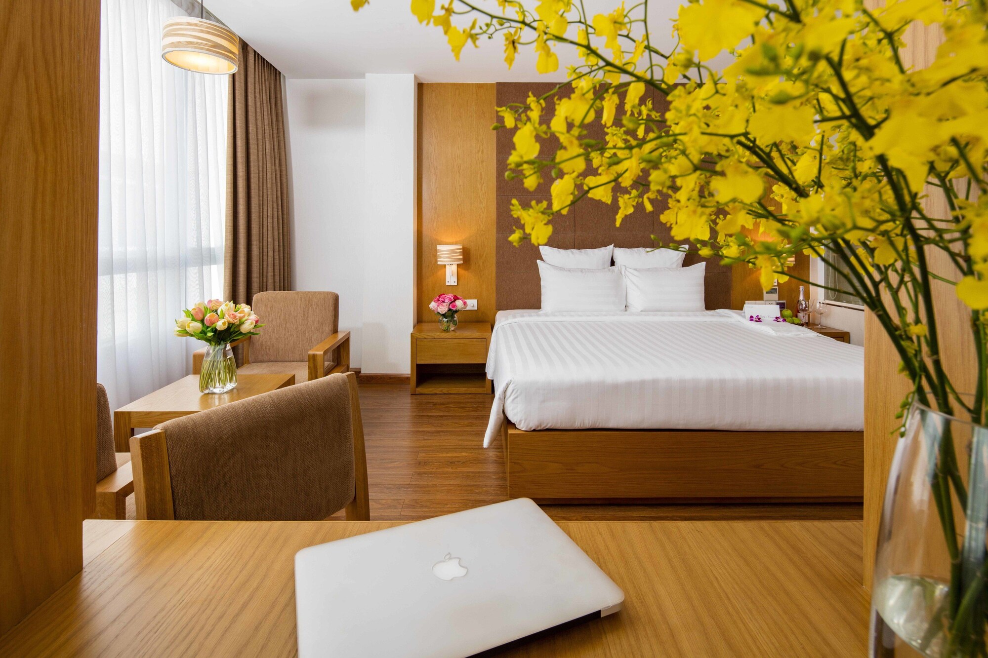 PARADISE, SUITE