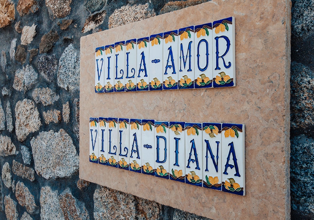 Diana Villa Mykonos 写真2