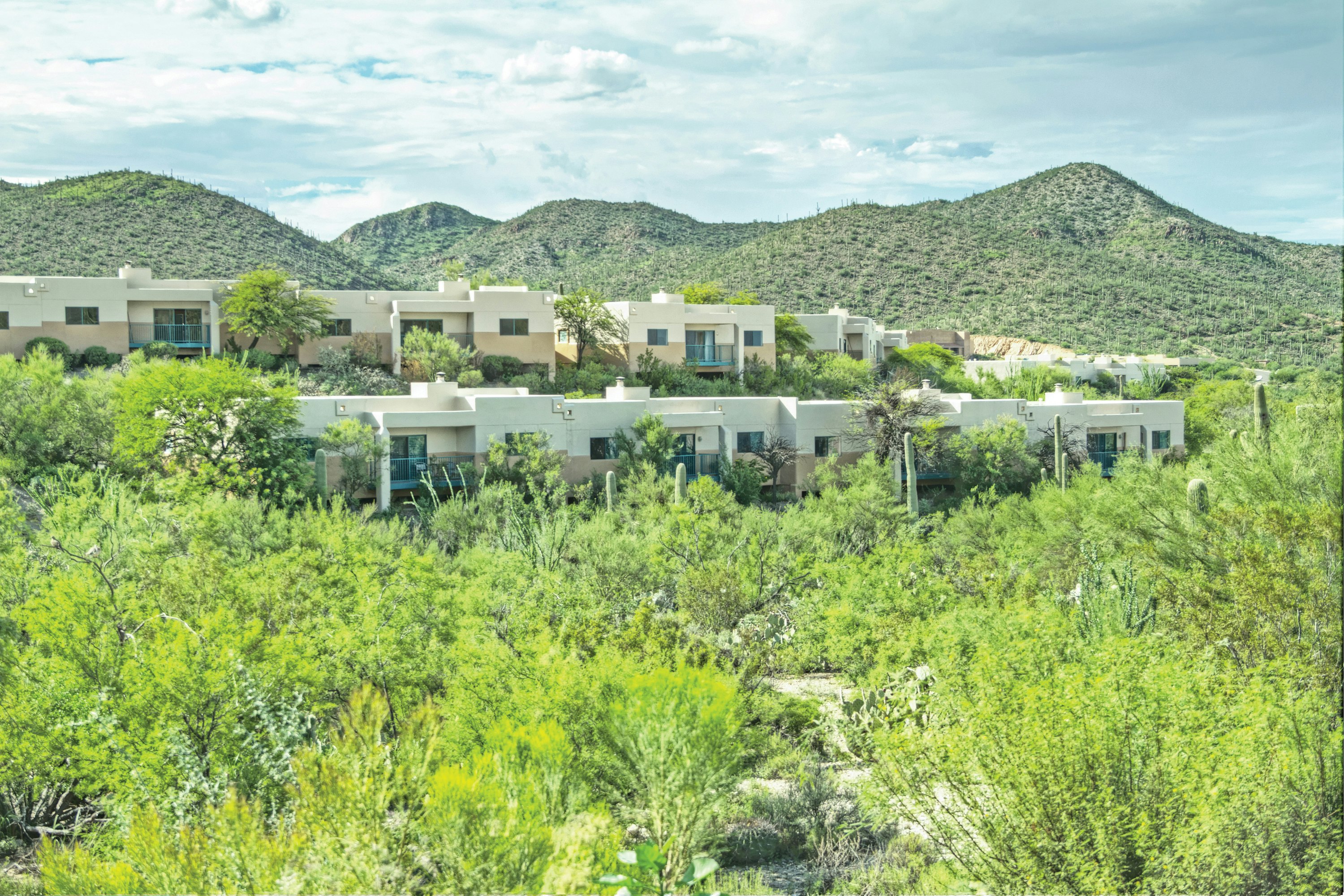 Starr Pass Golf Suites 42/50