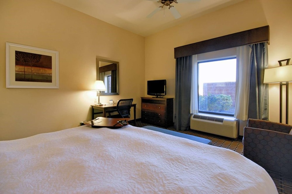 Hampton Inn Suites New Iberia Avery Island 18/47
