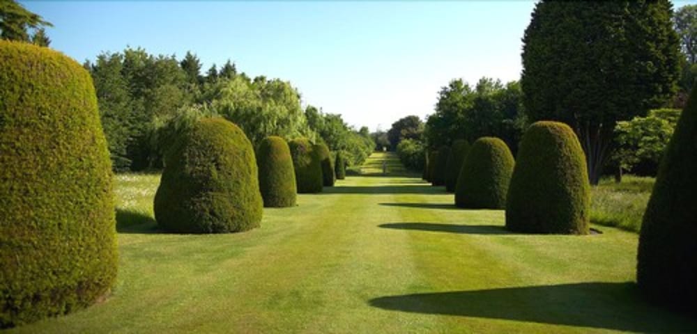 Madingley Hall 43/57