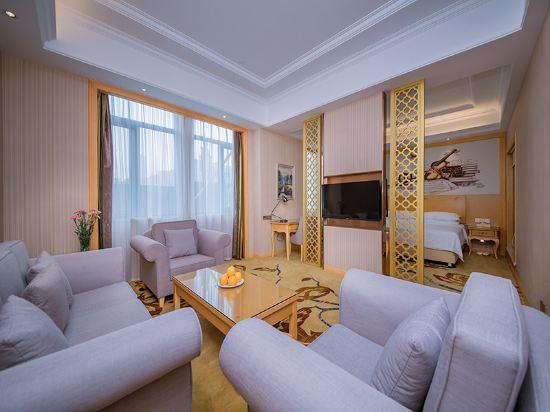 Vienna International Hotel (Wuhan Hanxi) 56/66