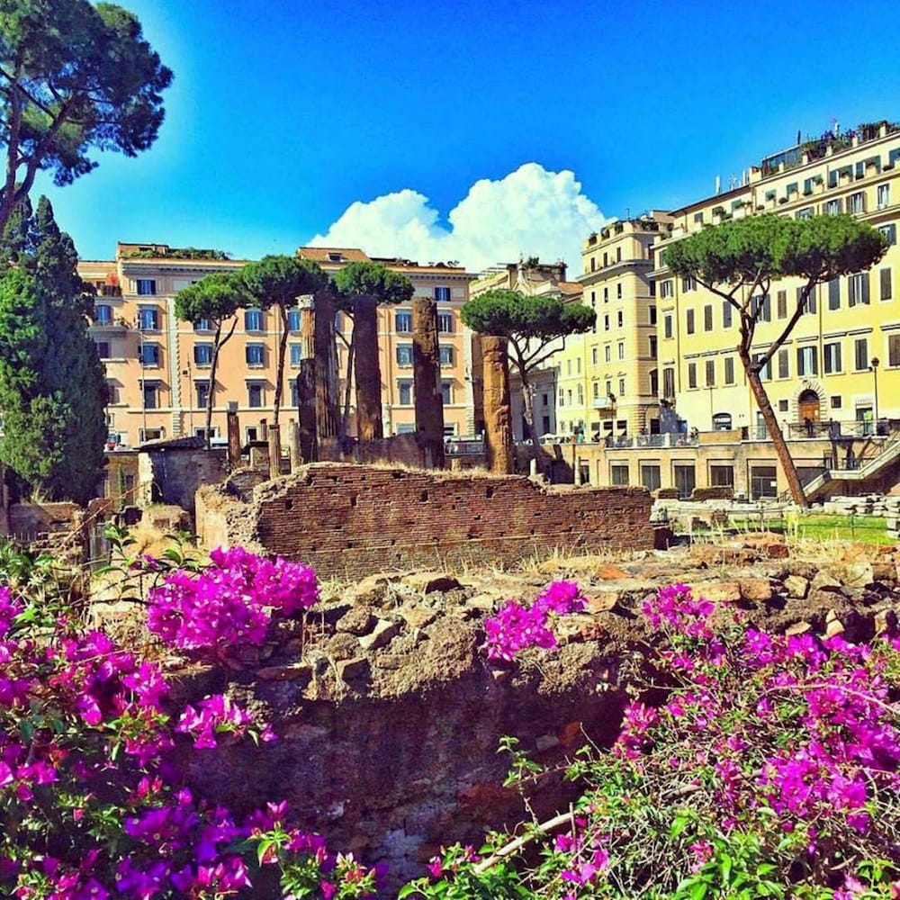 Sun Suite Luxury Pantheon 37/50